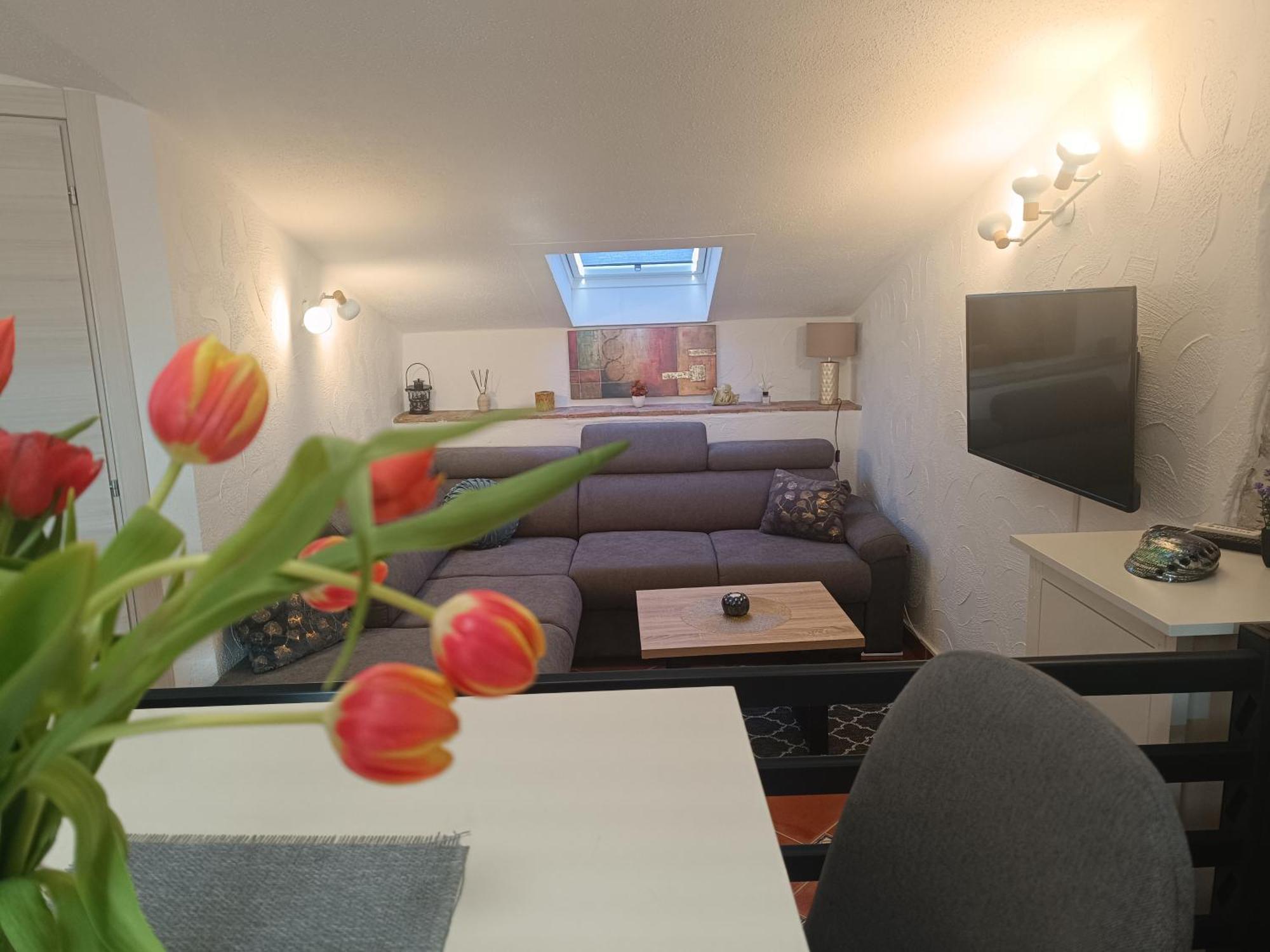 Adria Pearl Appartments Врсар Экстерьер фото