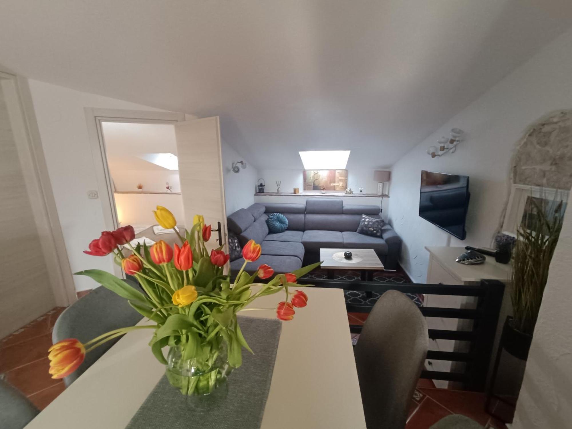 Adria Pearl Appartments Врсар Экстерьер фото