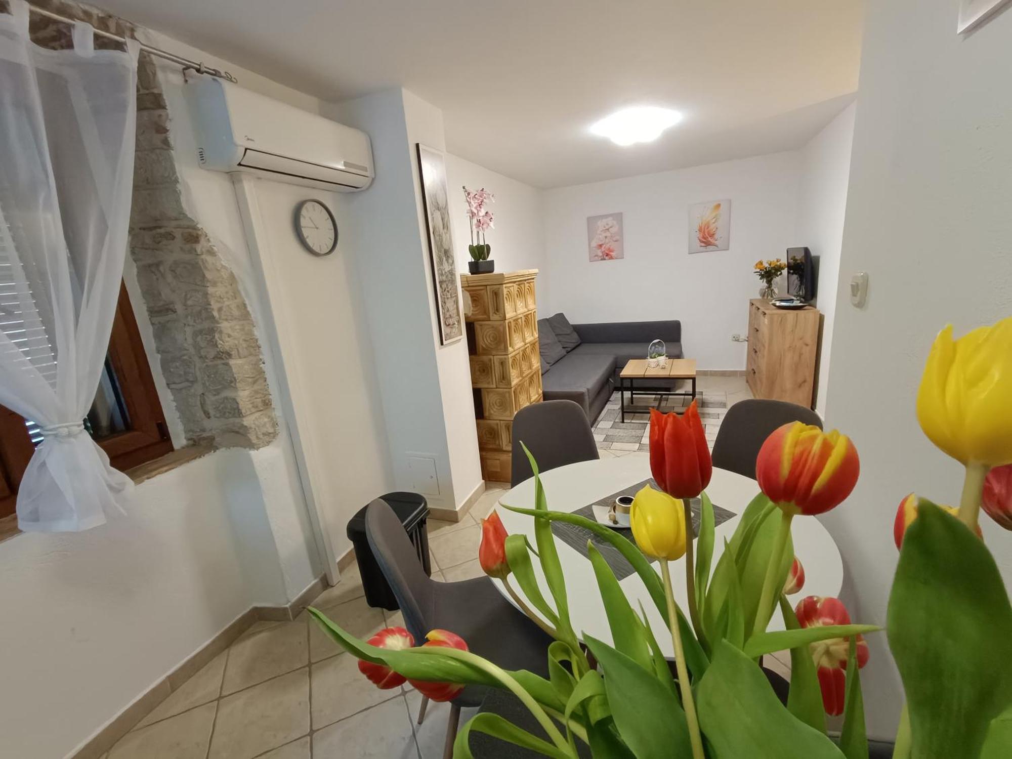 Adria Pearl Appartments Врсар Экстерьер фото
